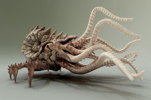 Kraken зеркало даркнет