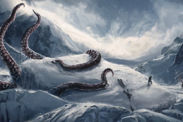 Kraken kraken link24 info