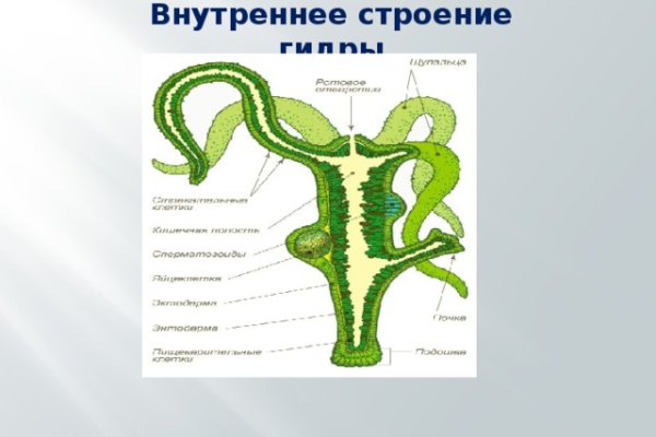 Кракен маркетплейс товары