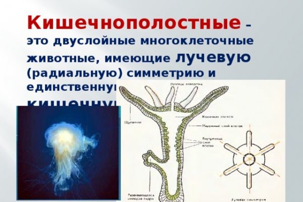 Ссылка кракен не работает